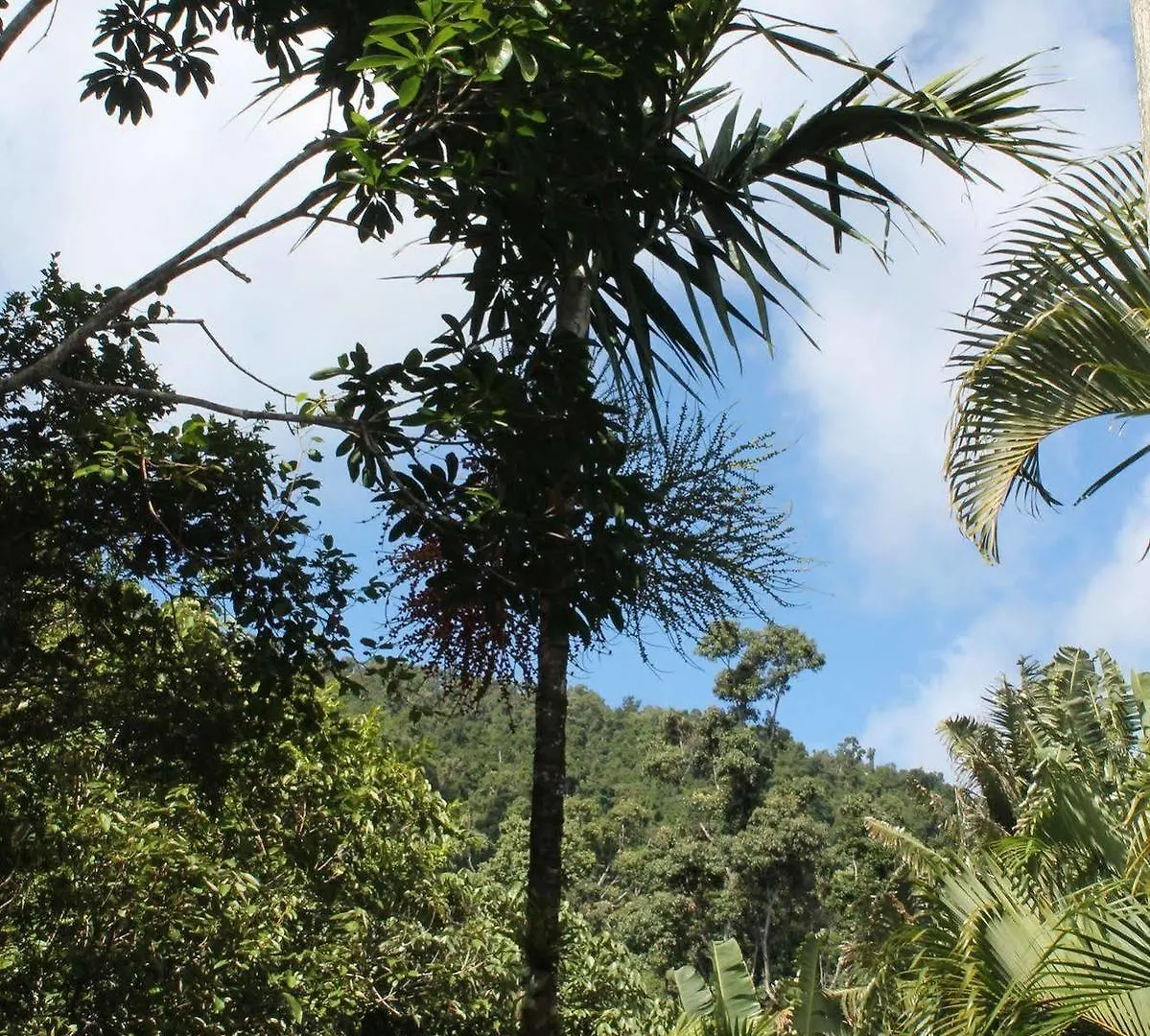 Hotel Whitsundays Rainforest Retreat Cannonvale