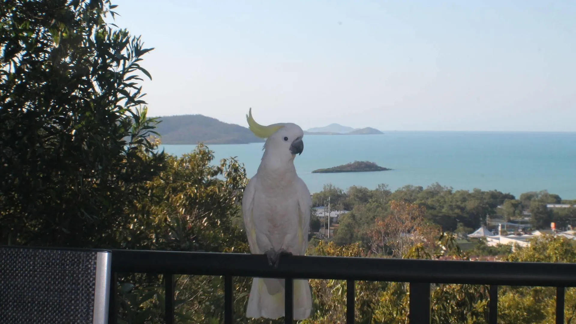 Whitsundays Rainforest Retreat Cannonvale Australia